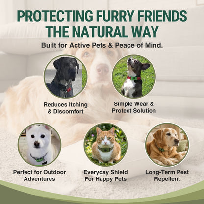 PetaVibe™ Pet Protection Pendant